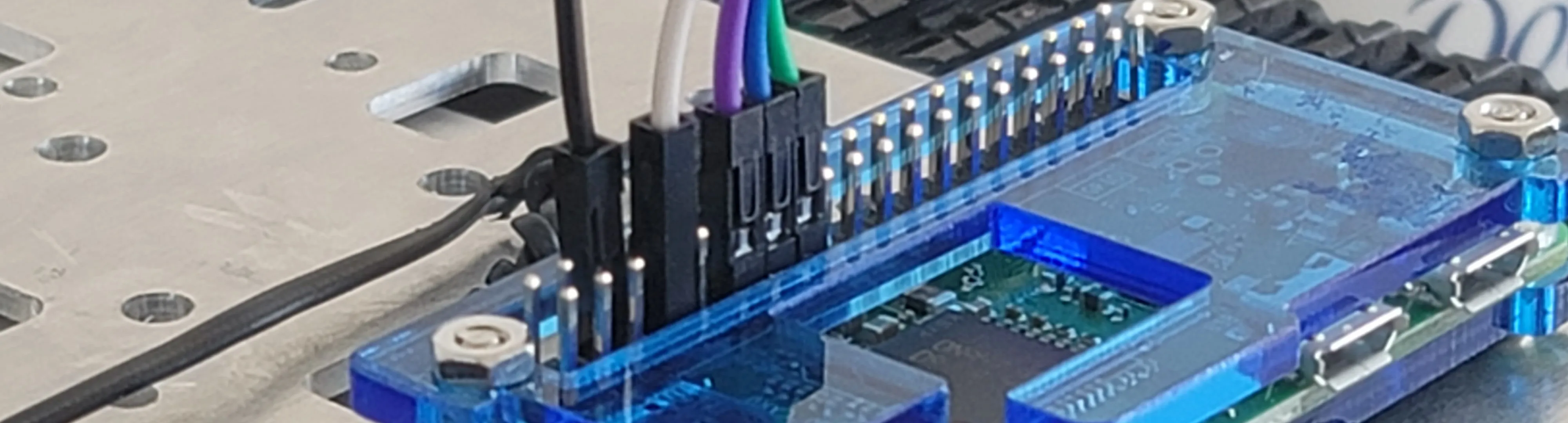 Close-up of jumper wires connected to a Raspberry Pi GPIO header